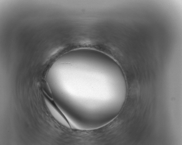 X0000082721205200702021436