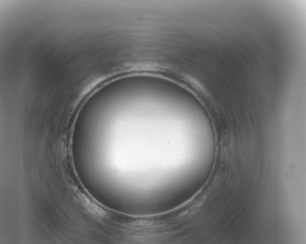 X0000082721212200702021436