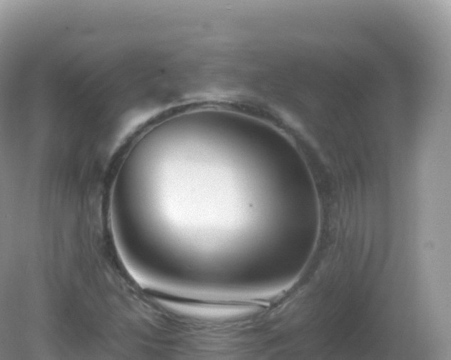 X0000082721214200702021436