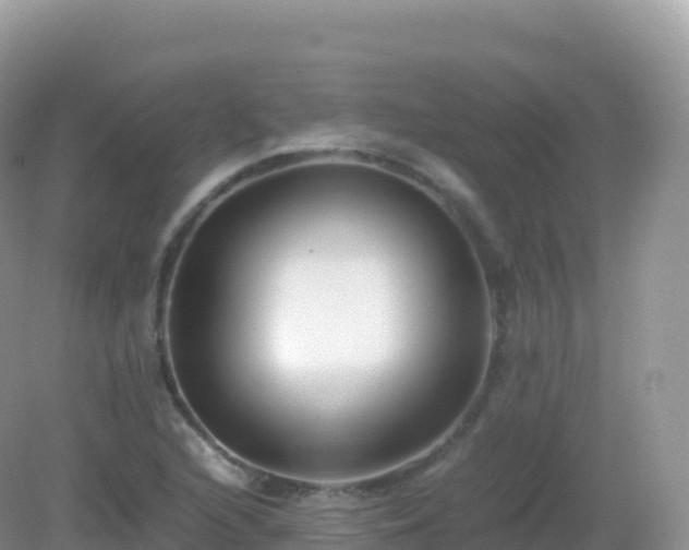 X0000082721216200702021436