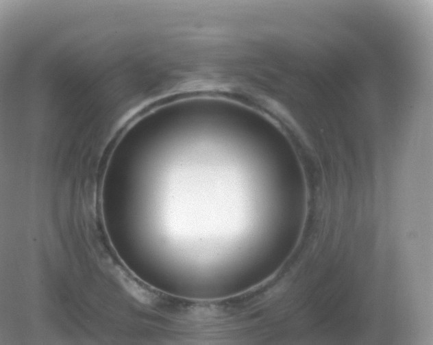 X0000082721220200702021436