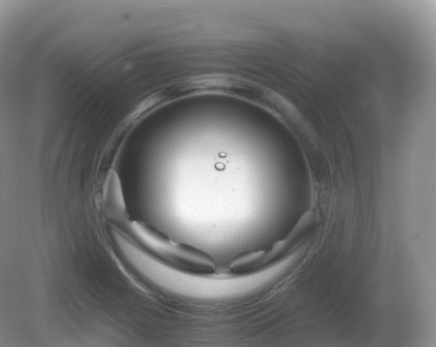 X0000082721225200702021436