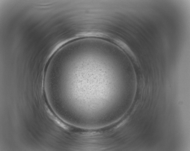 X0000082721228200702021436