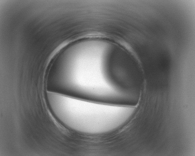 X0000082721229200702021436