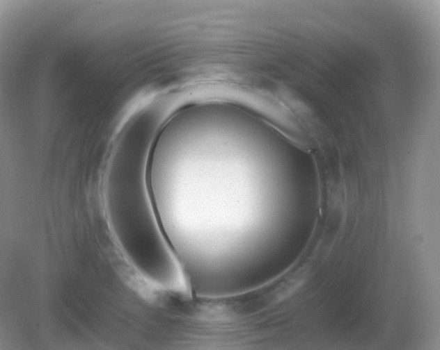 X0000082721230200702021436