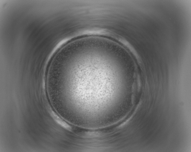 X0000082721232200702021436