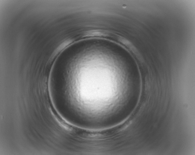 X0000082721233200702021436