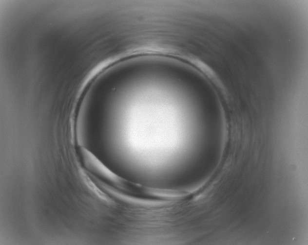 X0000082721238200702021437