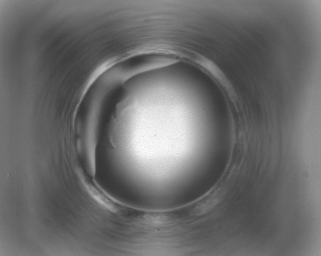 X0000082721242200702021437