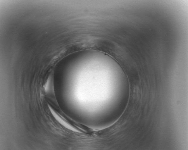 X0000082721250200702021436