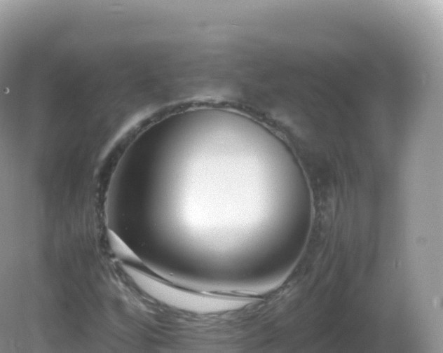 X0000082721256200702021436