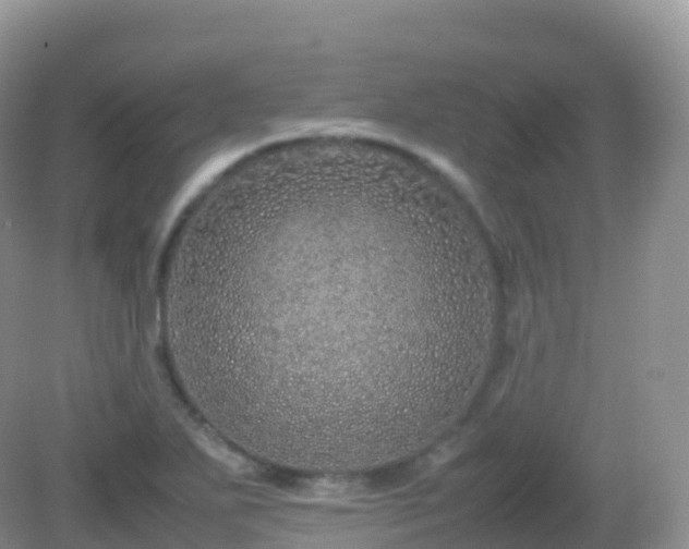 X0000082721271200702021436