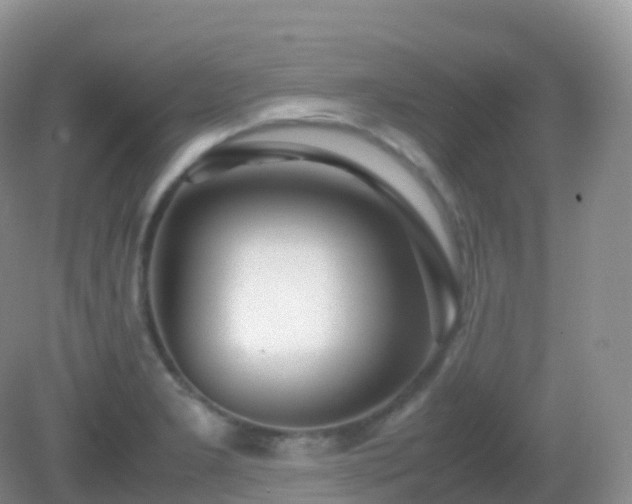 X0000082721277200702021435