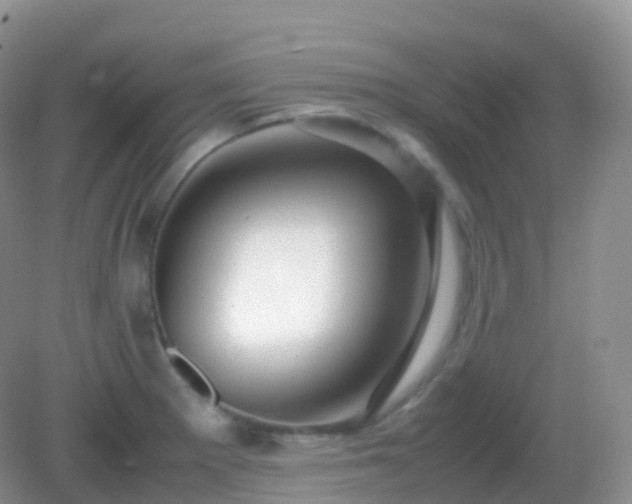 X0000082721281200702021435