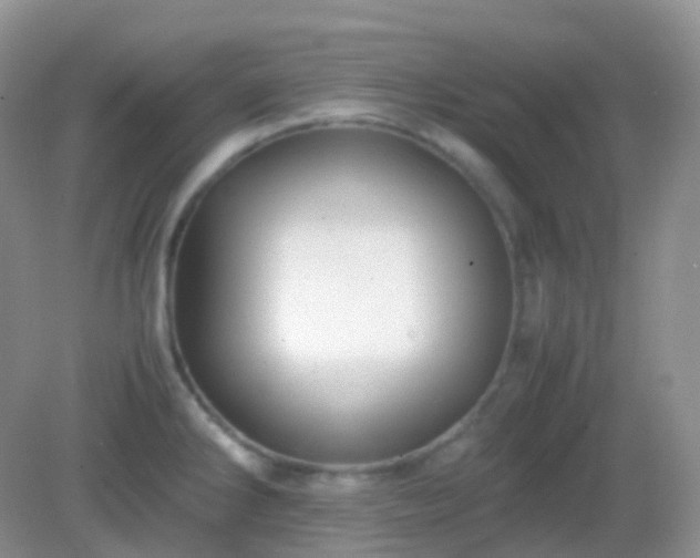 X0000082721286200702021435