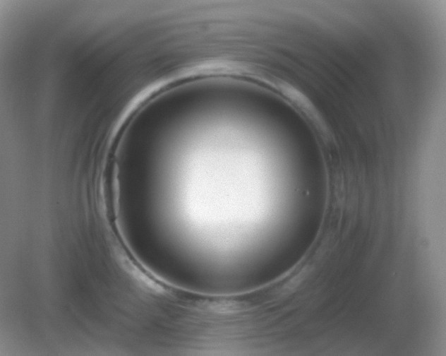 X0000082721288200702021435