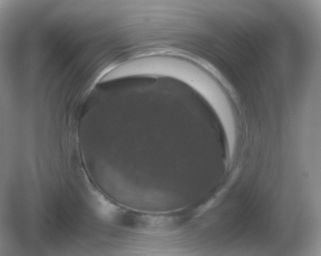X0000082721289200702021435