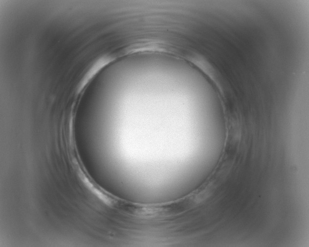 X0000082721290200702021435