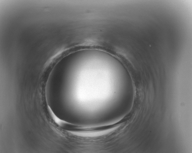 X0000082721304200702021434