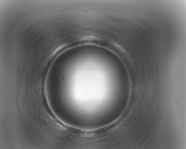 X0000082721313200702021435