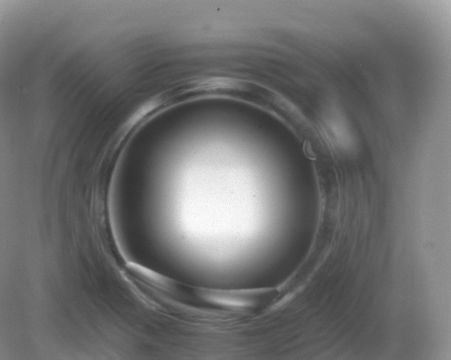 X0000082721321200702021435