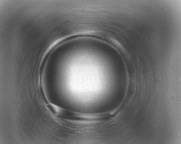 X0000082721324200702021435