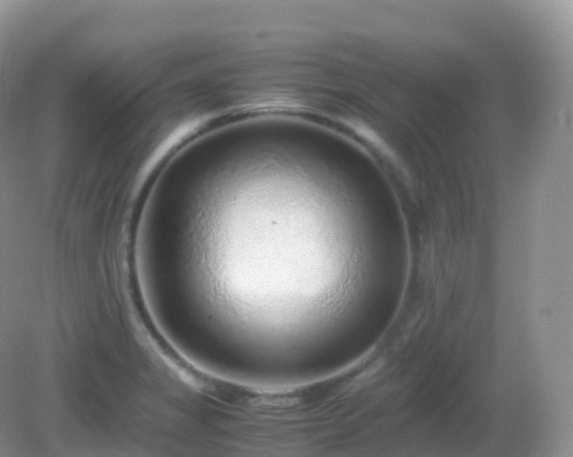 X0000082721325200702021435