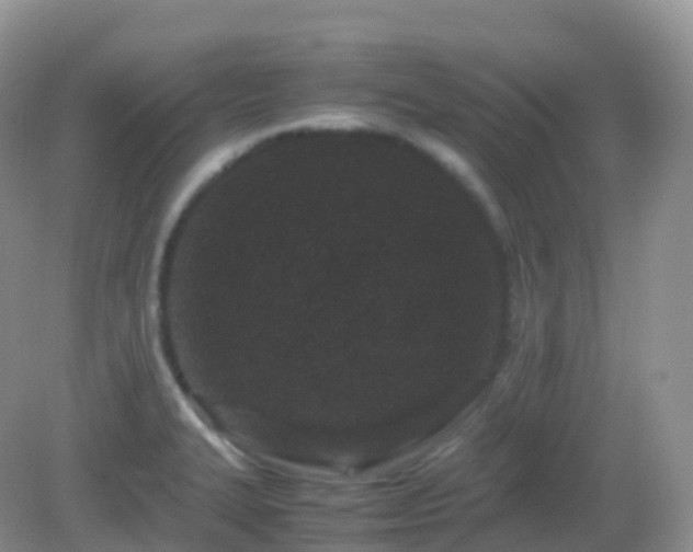 X0000082721327200702021435
