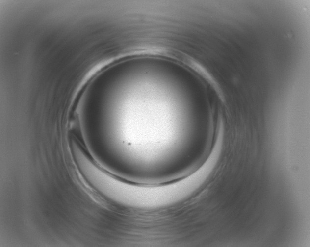 X0000082721332200702021435