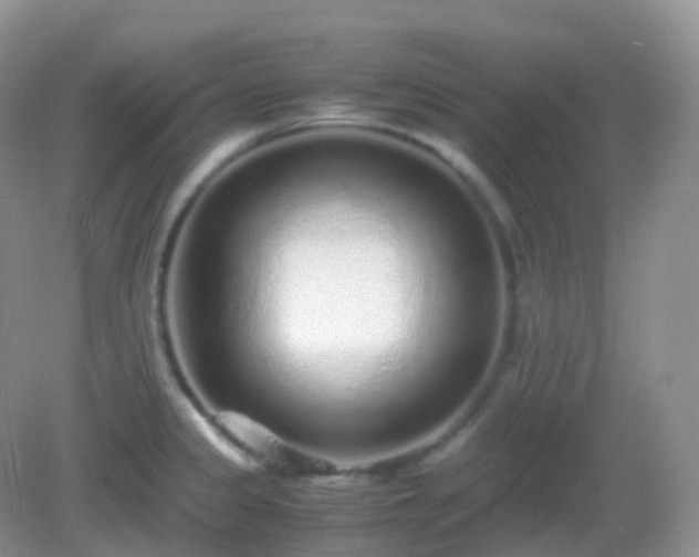 X0000082721333200702021435