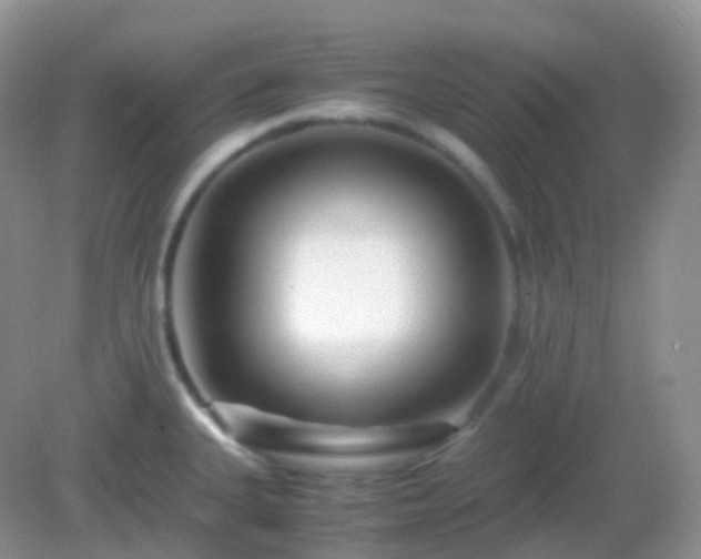 X0000082721335200702021435