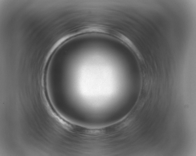 X0000082721339200702021435