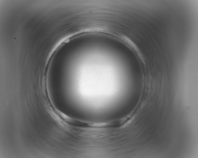 X0000082721340200702021435