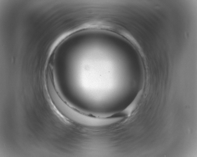 X0000082721344200702021435