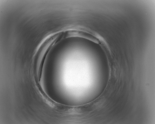X0000082721368200702021434