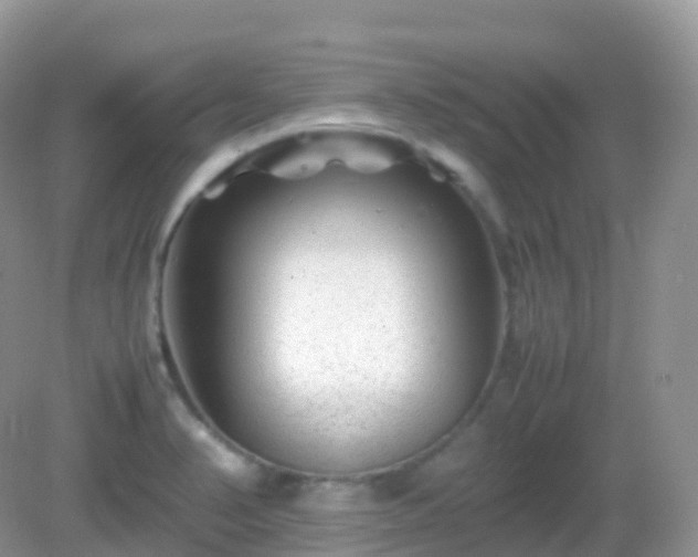 X0000082721374200702021434