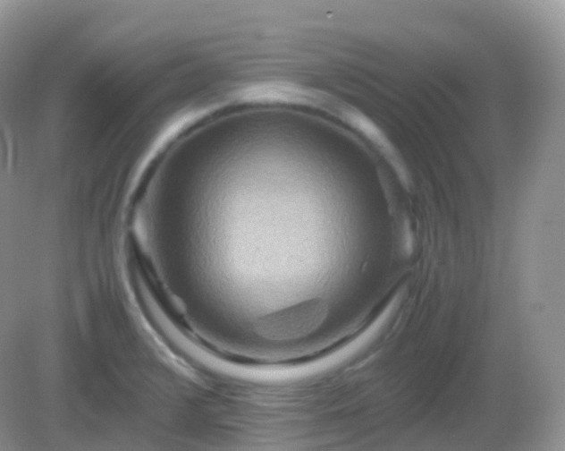 X0000082721376200702021434