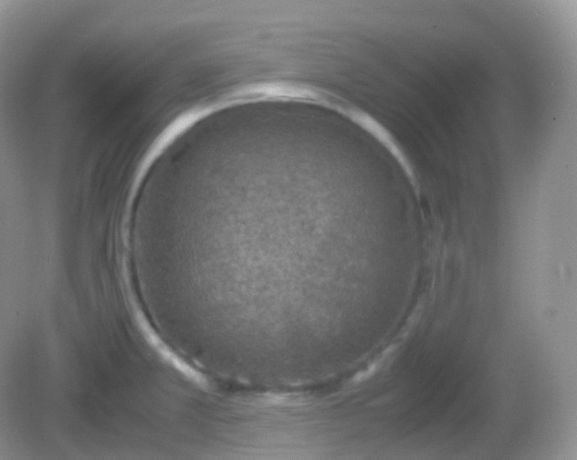 X0000082721381200702021434