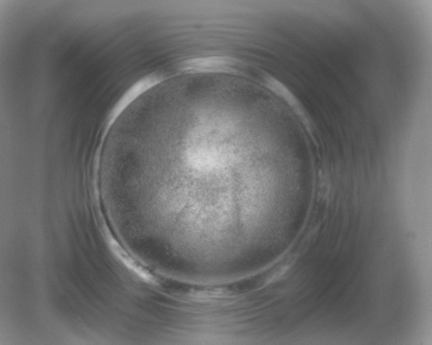 X0000082721386200702021434