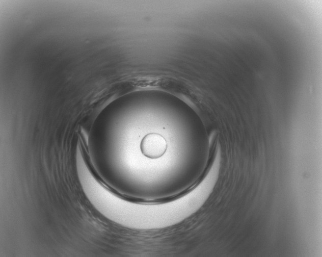 X0000082721394200702021433