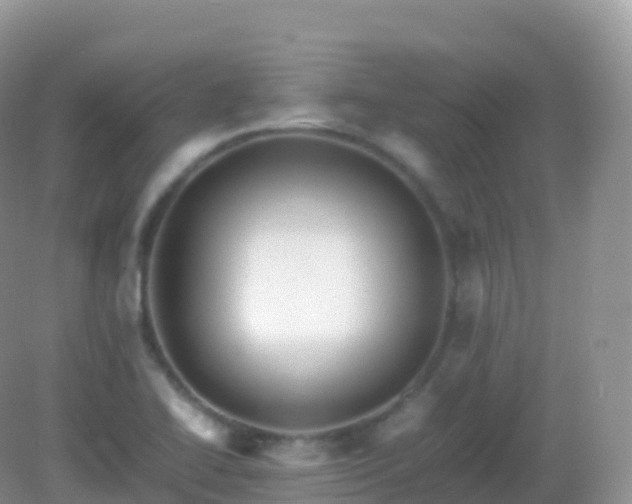 X0000082721414200702021433