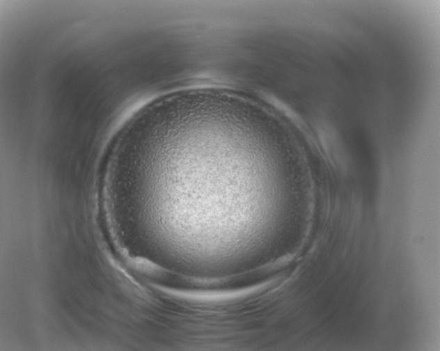 X0000082721415200702021433