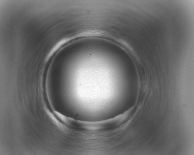 X0000082721422200702021433