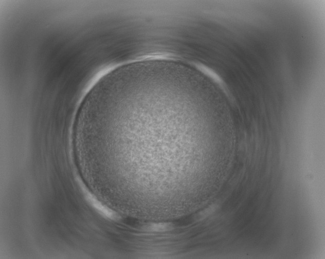 X0000082721423200702021433