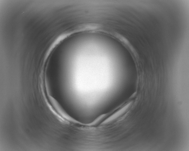X0000082721432200702021433