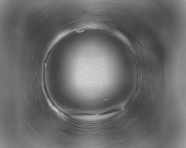 X0000082721439200702021433
