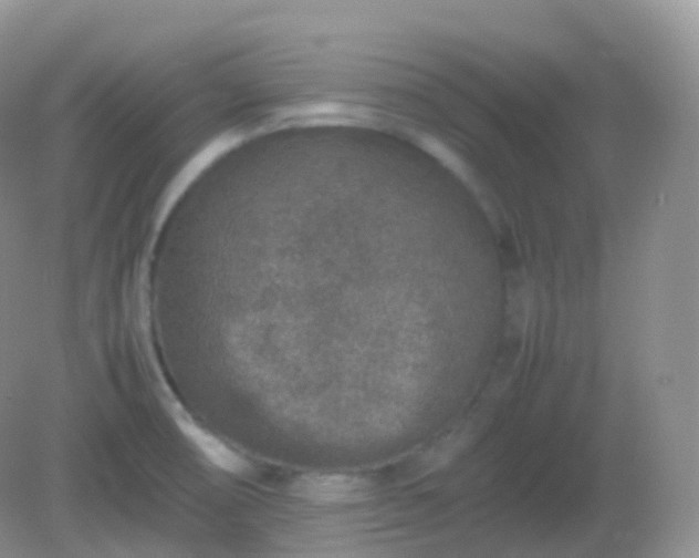 X0000082721474200702021432