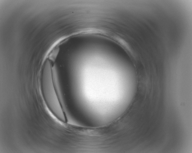 X0000082721476200702021432