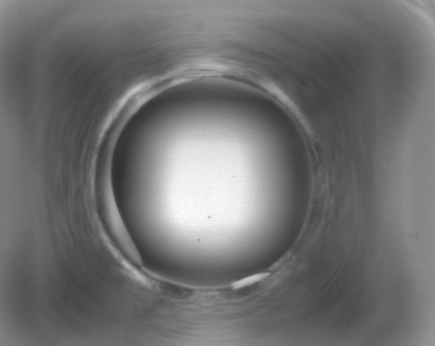 X0000082721477200702021432
