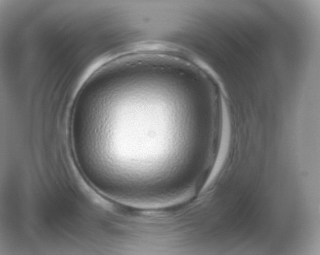 X0000082721483200702021432